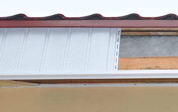 Forsinard fascia repair costs