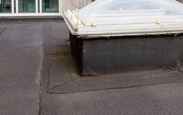 disadvantages of Forsinard flat roofs