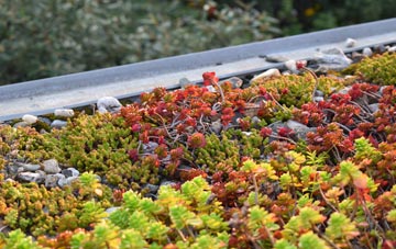 the cost of Forsinard green roof installation