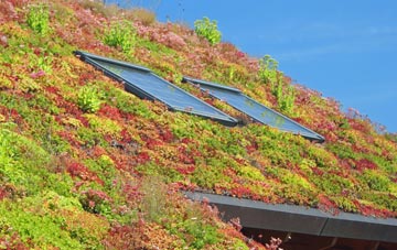Forsinard living roof systems
