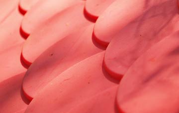 Forsinard plastic roof costs