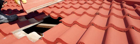 compare Forsinard roof repair quotes