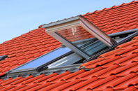 Forsinard roof window